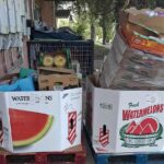 bins of boxes marked with names of produce