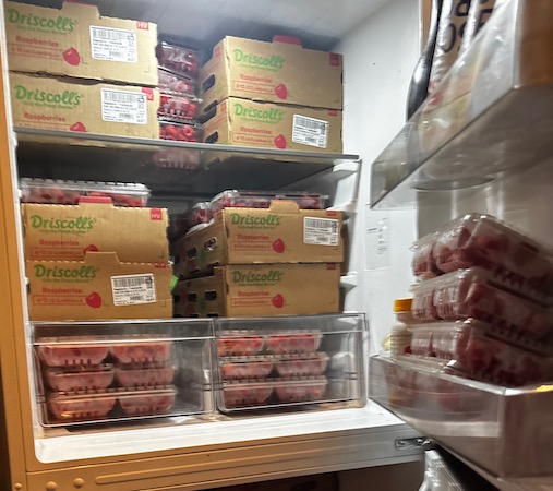 boxes of raspberries in refrigerator